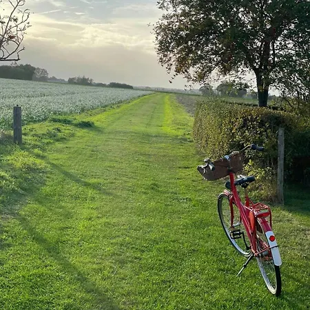 Half-timbered House From 1894 With Wilderness Bath